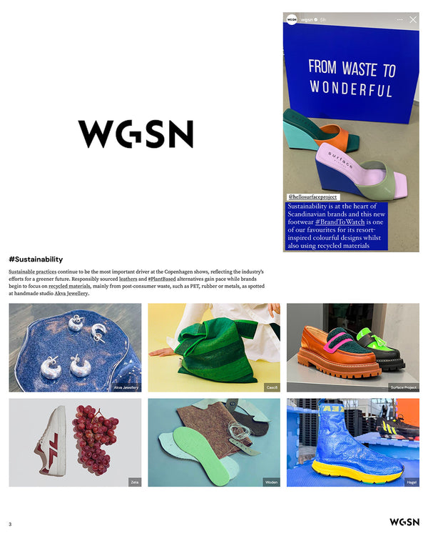Image showing feature in WGSN social media.
